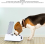 Cat Food Bowls With Automatic Open Cover Infrared Sensing Insects Prevention 3