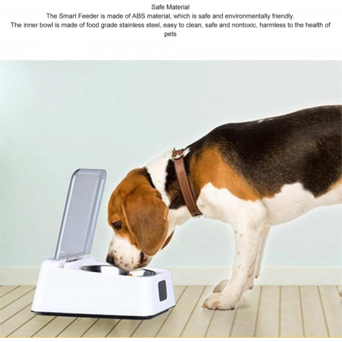 Cat Food Bowls With Automatic Open Cover Infrared Sensing Insects Prevention 2