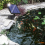 Solar Pond Aerator Oxygen Pump With Hose 1800mah Stone 3