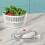 Salad spinner, vegetable dryer, fruit rack, sieve basket 4