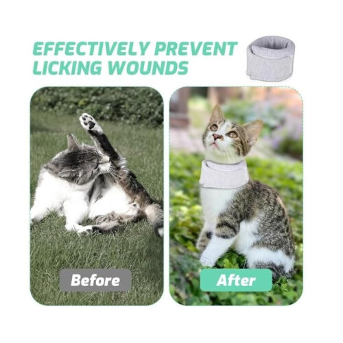 Cat collar, dog collar, adjustable collar, soft collar, neck circumference 26-33 cm, L, gray 2