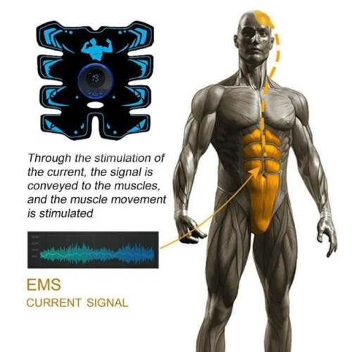 Muscle stimulator - EMS - Abdominal belt - 8 settings - 15 intensities - White 2
