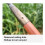 Metal garden rake for weeding and raking – white – rake tine tool 4