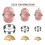 Dumpling Maker,empanadas Press Mold Maker Set with Dough Cutter, Dumpling Mold Set And Cutter for P 3
