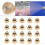 Spray Nozzle Brass Misting Nozzles for Cooling System (0.4 Mm) 10/24 Unc Garden 20pcs 2