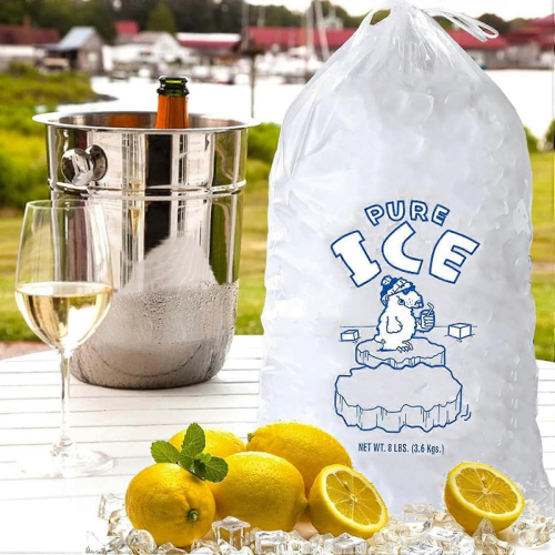 50 stücke Engen-Eisbeutel Kordelzug Eis Packs Eisbeutel mit Kordelzug Eis 1