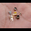 200 Stück 5 x 7,5 mm umklappbare Kordelenden, Kordelspitzen, Lederseil-Endkappen, Crimp 3