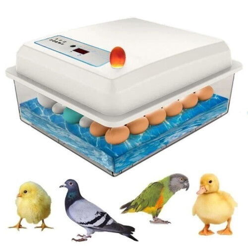 Automatic incubator for hatching bird eggs with automatic temperature control, rotation A2