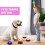 Parts for Dog Beeper, Recordable Beeper, Pet Communication Button, Pet Training Beeper 3