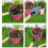 VHV 3-piece garden tool set, bonsai tools and mini garden tools 3