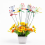 24 Stück 3D-Libellen-Gartendekoration, Libellen-Gartenpfähle 5
