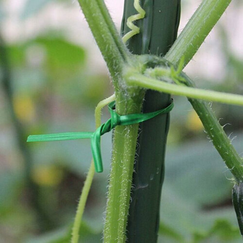 Plastic garden ties, plant binding wire, multifunctional metal cable ties, green, high voltage, 100 m 1