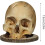 Zombie Skull Knife Holder, Gothic Kitchen Stand for Halloween Decoration VHV 3