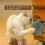Self-care cat brush, multifunctional tool with silicone massage gloves VHV 2