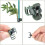100 pieces plastic orchid clips for plants VHV 3
