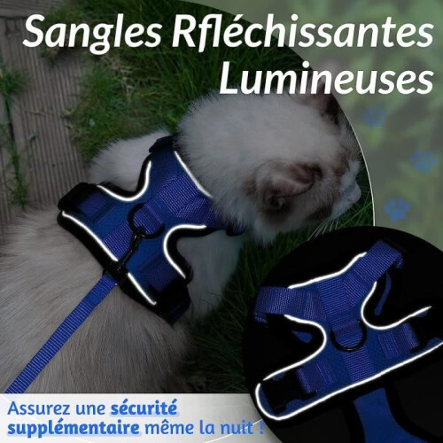 Adjustable harness for cats and small dogs, blue, XS - Breathable reflective vest 2