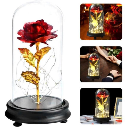 Eternal Rose under Glass - LECOO - 24 Carat Gold Plated - Red - Decorative Object