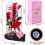 Eternal Rose Under Glass – LECOO – 3 Red Roses – LED Light – Gift Box – Home Decor 3