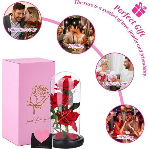 Eternal Rose Under Glass – LECOO – 3 Red Roses – LED Light – Gift Box – Home Decor 1