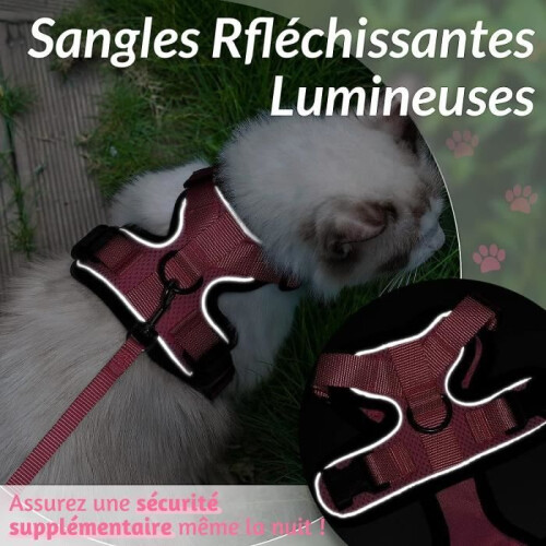 Adjustable pink cat/dog harness S - Breathable reflective vest 2