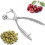 Cherry Pitter Cherry Aluminum Alloy Olive Seed Extractor 4