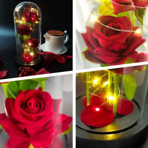 Eternal Rose under Glass - LECOO - Red - Office - Decorative Objects 2