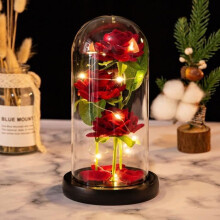 Eternal Rose under Glass - LECOO - Red - Office - Decorative Objects