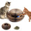 Scratching post with ball, magical scratching post made of foldable cardboard 1