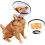 Anti-bite collar for dogs and cats (26-33 cm) 1
