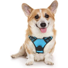 No-pull dog harness with 2 leash attachments, adjustable padded dog harness (blue, M)
