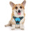 No-pull dog harness with 2 leash attachments, adjustable padded dog harness (blue, M) 1