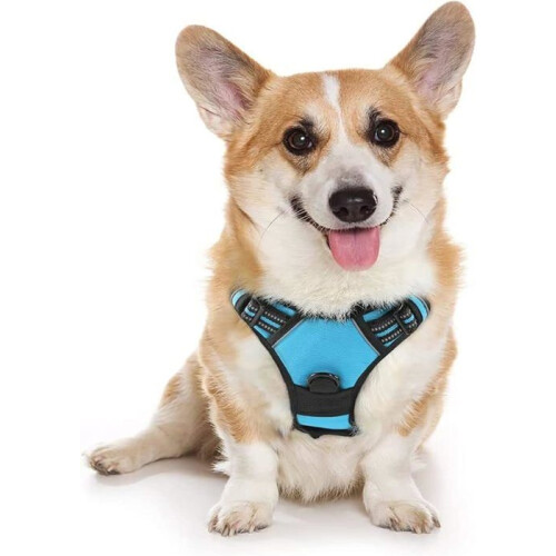 No-pull dog harness with 2 leash attachments, adjustable padded dog harness (blue, M)