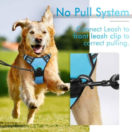 No-pull dog harness with 2 leash attachments, adjustable padded dog harness (blue, M) 2