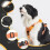 Anti-pull harness - Not specified - Model L - Black - Comfortable and breathable - Integrated retractable leash 2