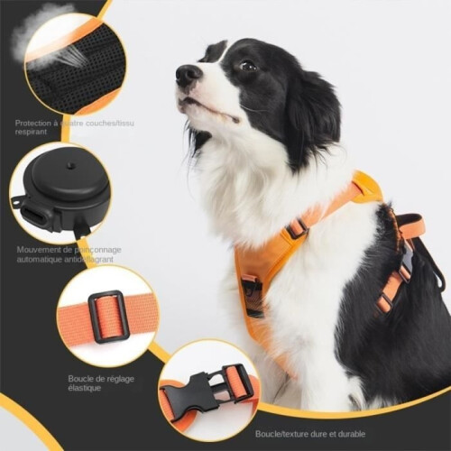 Anti-pull harness - Not specified - Model L - Black - Comfortable and breathable - Integrated retractable leash 1