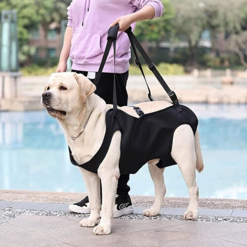 Dog Harness - Not Specified - XL - Black - Adjustable - Full Body Support 2