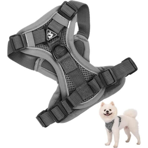 Dog harness (small, medium, large), anti-pull, reflective, with 1.5 m leash, for cat (S)