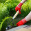 Manual weeder – stainless steel – 4 teeth – wooden handle 4