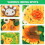 Foldable snuffle mat for dogs, snuffle mat for dogs, multiple options for feeding difficulties 3
