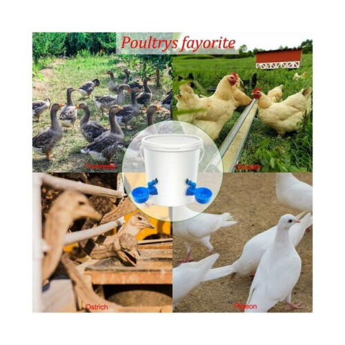 Set of 12 automatic drinking troughs for chickens and poultry VHV 1