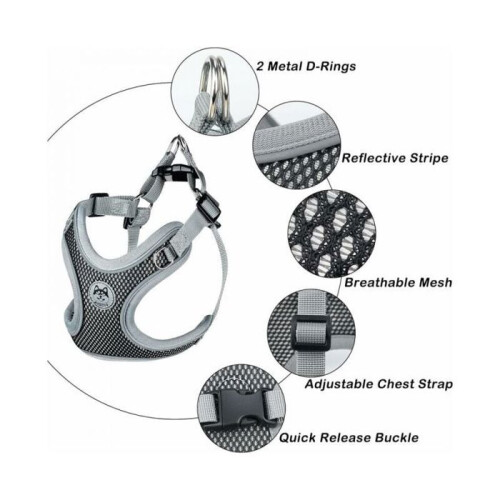 No Pull Dog Harness, Small Dog Harness, Adjustable and Breathable, VHV 1
