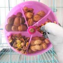 Rotating parrot toy, creative feeding bowl, foraging, purple VHV