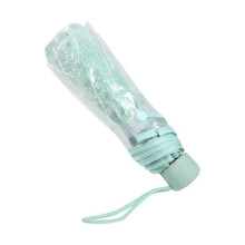 x fashionable transparent folding umbrella, cherry blossom princess pattern, light green