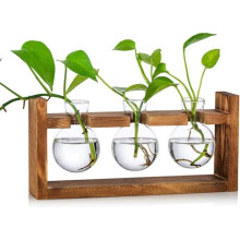 3-piece growing tray, avocado ball vase, acorn flower vase made of glass, terrarium, pot, planter with stand