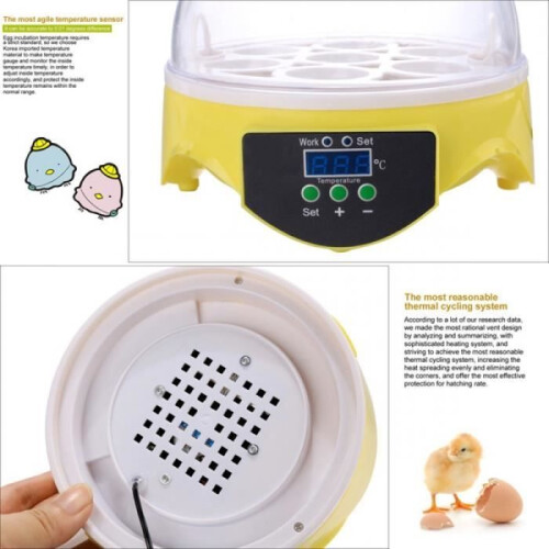 Incubator, digital incubator for 7 eggs, mini chicken and duck eggs 1