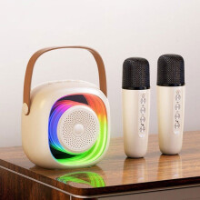 Mini Karaoke Machine, Portable Bluetooth Speaker, with 2 Wireless Microphones, Light and Voice Changer, for Party and Travel