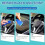 Auto plastic renovator, auto plastic repair products, coating filler 4