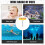 Swimming pool thermometer - High-quality PVC - Floating - White 4