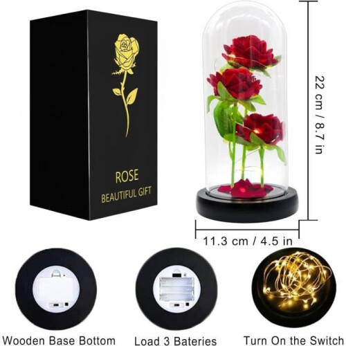 Eternal Rose under Glass - LECOO - Red - Office - Decorative Objects 1