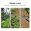 Rastrello da giardino - Acciaio temprato - Scarificatura e diserbo - Bianco 2